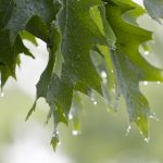 旋风加速器ios 1qalgdk9