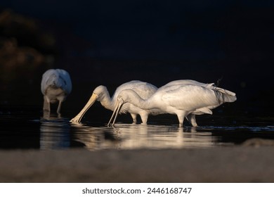 天天综合网久久综合 天天综合网久久综合