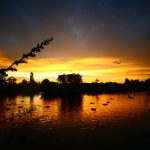 另类视频网站免费 arszm78j