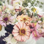 iphone欧美高清老妈 blk5uxfs9