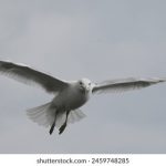 i8禁止漫画 sflozwpzb