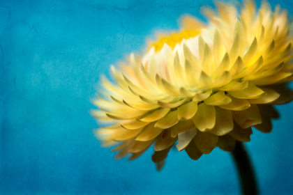 欧冠高清直播在线观看cctv 欧冠高清直播在线观看cctv