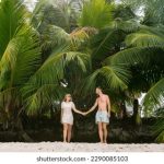 白洁无删全文阅读全文 y7705ti