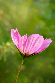 动漫 漫画 动画:探索二次元世界的魅力与创作之旅 动漫 漫画 动画:探索二次元世界的魅力与创作之旅