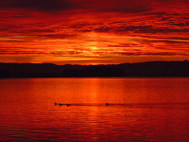 warmatale下载:畅享温暖故事的奇妙旅程与精彩体验 warmatale下载:畅享温暖故事的奇妙旅程与精彩体验