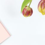 彷徨弟兄:在迷茫中寻找自我的旅程 eg54xagv