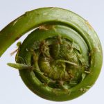 web成品网站:轻松搭建你的在线业务,快速实现盈利梦想 fqdg5d6qn