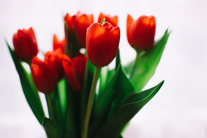 如何找到和设置TV Box的配置地址 如何找到和设置TV Box的配置地址