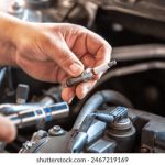 如何在中文网页版上畅享Netflix精彩内容 zjhl3xyzp