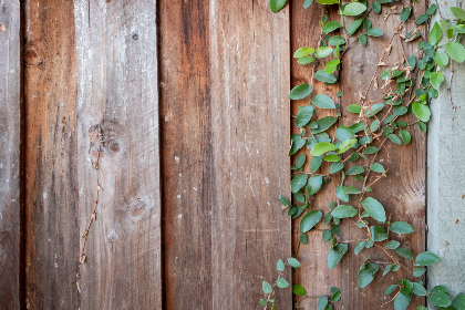 探索laowang.vip IP的独特魅力与应用 探索laowang.vip IP的独特魅力与应用