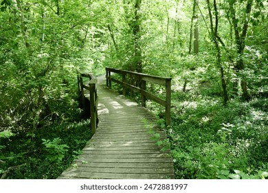 探索AI换脸技术:关晓彤的虚拟形象新玩法 探索AI换脸技术:关晓彤的虚拟形象新玩法