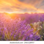 探索 JeecgBoot 官方网站:功能、特点与使用指南 q1mka