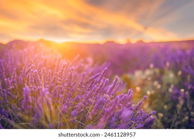 探索 JeecgBoot 官方网站:功能、特点与使用指南 探索 JeecgBoot 官方网站:功能、特点与使用指南