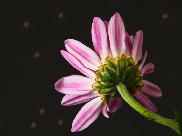 探索‘Jable Rehmat’:神秘之地的美丽与传说 探索‘Jable Rehmat’:神秘之地的美丽与传说