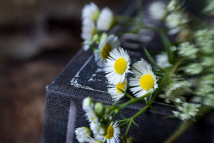 探索AI去衣图技术:如何实现图像处理的创新 探索AI去衣图技术:如何实现图像处理的创新